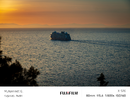 1000308329.webp