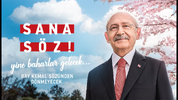 1781030413988.webp