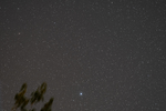 1000309396.webp
