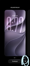 1781544171361.webp