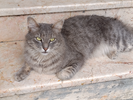 IMG_20260616_130635.webp