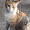 1000032174.webp