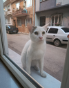 1781631076270.webp
