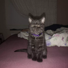 1781632363184.webp