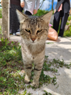 IMG_20260531_150714.webp