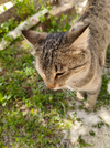 IMG_20260531_150709.webp