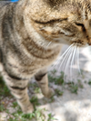 IMG_20260531_150654.webp