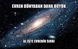 1781636857938.webp