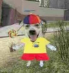 1781697076984.webp