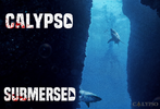 Submersed_Calypso_Yatay.webp