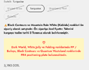 Ekran görüntüsü 2026-06-20 233738.webp