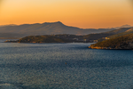 1000312814.webp