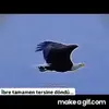 1NnBBW.webp