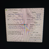 17822495320561167148557841481573.webp