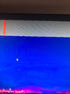 233333.webp