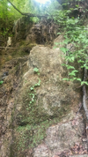 1000185407.webp