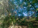 IMG_20260628_185253_1.webp