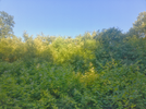 IMG_20260628_190016.webp