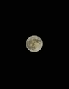 1000314692.webp