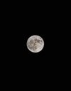 1000314704.webp