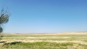 IMG_20260630_105802_2.webp