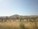 IMG_20260630_090306_1 (1).webp