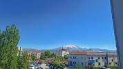 1000185930.webp