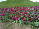 IMG20230401164440.webp