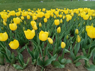 IMG20230401164323.webp