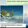 1783333603580.webp