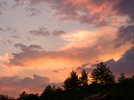 1000315991.webp