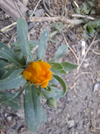20260707_183548.webp