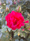 20260707_183249.webp