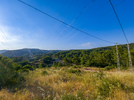 1000316464.webp