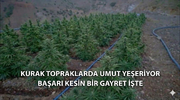 598316521_2770641123286045_7630900353084064783_n.webp
