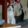 1000317439.webp