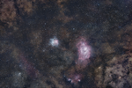 1000317818.webp