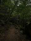 407BD65D-7414-4D22-AEB2-DB5357A50B82.webp