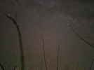 1000318634.webp
