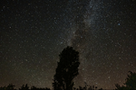 1000318640.webp