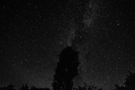 1000318640.webp