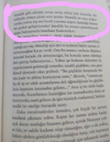 22.webp
