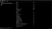 ram2.webp