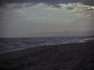 sahil_forum_4k.webp