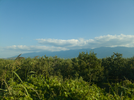 1000189572.webp