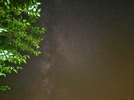 1000320006.webp