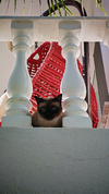 IMG_20260724_164102.webp