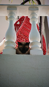 IMG_20260724_164104.webp