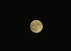 1000321645.webp