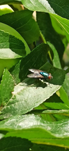 IMG_20260728_232351_357.webp